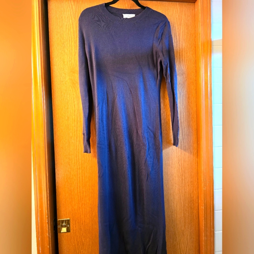 NWOT Treasure & Bond Sweater Dress